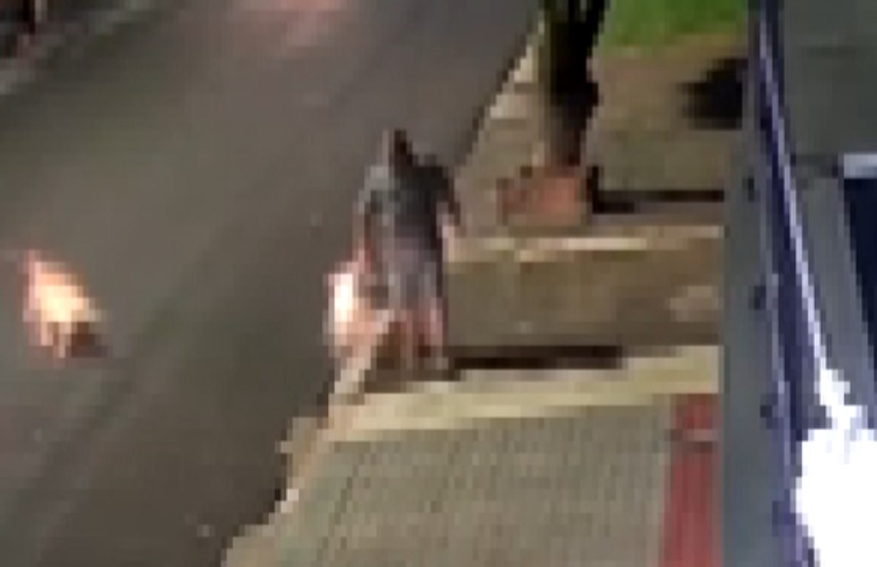 Pitbulls escapam de casa e atacam homem que caminhava em calçada no Paraná; vítima perde visão e orelha