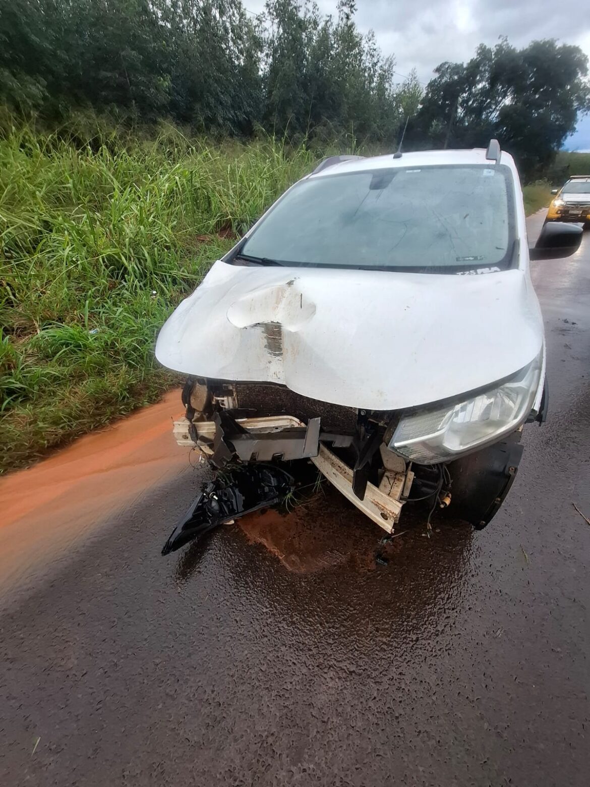 Motorista perde controle e bate em placa na PR-180 entre Goioerê e Moreira